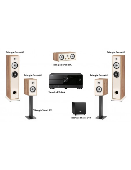 HOME CINEMA SET 6 (Yamaha + Triangle)